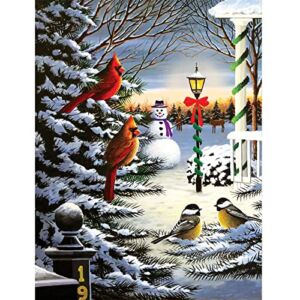 Christmas Diamond Painting Kits for Adults – Winter Diamond Arts for Beginners, 5D DIY Round Full Drill Snow Birds Gem Art Craft Canvas for Home Wall Decor 12 × 16 Inch