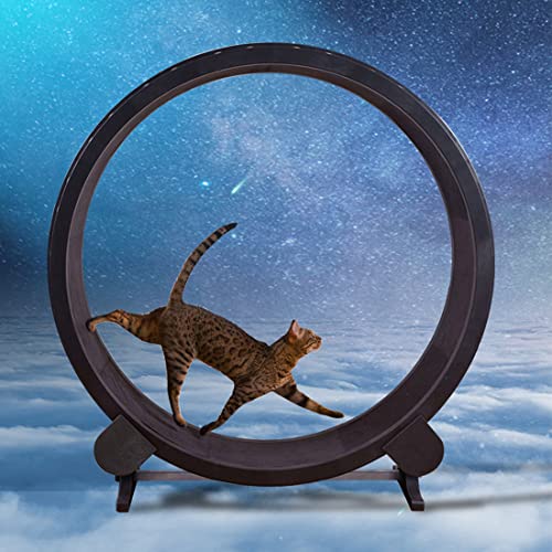 BOTTLE Pet Treadmill cat Climbing Frame, Silent cat Training Walking Treadmill, Non-Slip and Replaceable Track Patch, Running Rotating Toy cat Wheel for Grinding Claws | The Storepaperoomates Retail Market - Fast Affordable Shopping