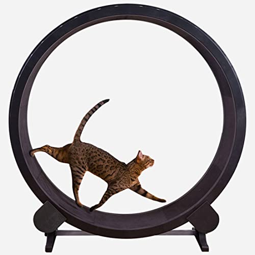 BOTTLE Pet Treadmill cat Climbing Frame, Silent cat Training Walking Treadmill, Non-Slip and Replaceable Track Patch, Running Rotating Toy cat Wheel for Grinding Claws | The Storepaperoomates Retail Market - Fast Affordable Shopping