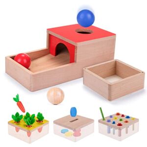 Montessori Toys for 1 Year Old, 4In1 Educational Wooden Toys for Babies 1 2 3, Object Permanence Box, Color&Shape Sorting Learning Matching Game, Carrot Harvest, Gifts for 10 Month+ Toddlers