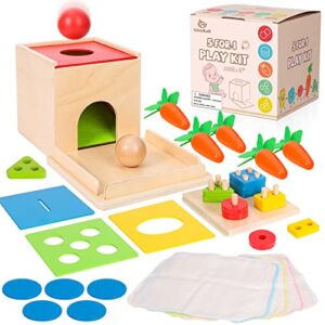Woodtoe 5 in 1 Play Kit Wooden Montessori Toys, Object Permanence Box, Baby Tissue Box, Carrot Harvest, Sorting Stacking, Coin Box, Toddler Educational Christmas Toys for Boy Girl 3 4 5 6 Years Old