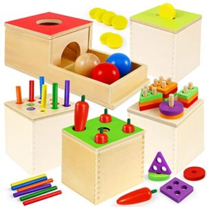 Montessori Toys for 1 2 Year Old, 5 in 1 Wooden Play Kit Includes Stacking Toys, Object Permanence Box, Coin Box, Carrot Harvest and Matchstick Color Drop Game, Fine Motor Skills Gifts for Babies