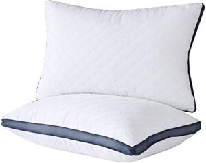 Pillows for Sleeping(2-Pack) , Luxury Hotel Gel Pillow ,Bed Pillows for Side and Back Sleeper (Queen)