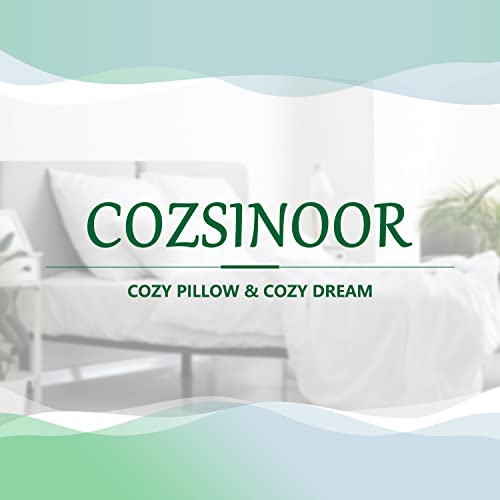 COZSINOOR Bed Pillows for Sleeping [Pack of 2] Cozy Dream Series Hotel Quality Pillows Premium Plush Fiber, Breathable Cooling Cover Skin-Friendly (Queen (Pack of 2)) | The Storepaperoomates Retail Market - Fast Affordable Shopping