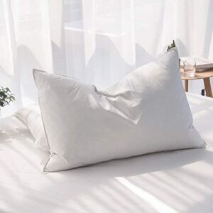AIKOFUL Luxury Goose Feathers Down Pillows for Sleeping Queen Size Bed Pillows,100% Cotton 1000 Thread Count (Queen-1 Pillow)
