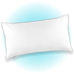 FluffCo Down Alternative Basics King Size Pillows, Pillow for Sleeping, Bed Pillows, Side Sleeper Pillow, Cooling Pillow, Hotel Pillow, Neck Pillow, Travel Pillow, Microfiber Polyester (King Soft)