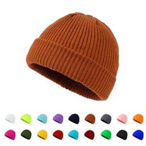 Winter Beanie Hats Unisex Beanie Knit Caps Classic Warm Winter Hats (Brown)