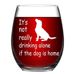 Stemless Wine Glass It’s not really drinking alone if the dog is home Funny Wine Cup Best Gift for Dog Lover 15 oz