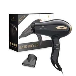 Professional Powerful Hair Dryer Negative Ionic 2 Speeds and 3 Temperature Settings and Cool Shot Button 1875w AC Motor Fast Drying Blow Dryer with Concentrator
