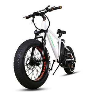 Nakto Fat Tire Electric Bicycle Stable 300W Brushless Motor 20“Electric Bike Three Working Mode 36V/10A Removable High Capacity Waterproof Lithium Battery EBike(White)