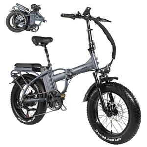 Rattan 750W Electric Bike for Adults Electric Folding Bikes 20”x4.0 Fat Tire Bikes 13AH Removable Lithium-ion Battery E-Bikes 7 Speed Shifter Electric Bicycle Step Through Ebikes (LM-Gray)