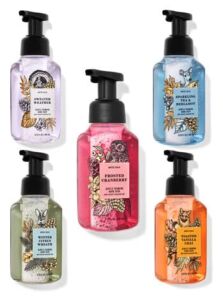 Bath and Body Works Foaming Hand Soaps – Set of 5 Gentle Foaming Soaps (Chilly Day Essentials)