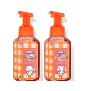 Bath and Body Works Sprinkled Donut Gentle Foaming Hand Soap 8.75 Ounce 2-Pack (Sprinkled Donut)