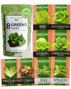 Lettuce & Salad Greens Seed Vault – 1200+ Non-GMO Vegetable Seeds for Outdoors or Indoors – Romaine, Iceberg Lettuce Seeds for Planting, Kale Spinach & More: Hydroponic Home Garden Seeds (8 Variety)