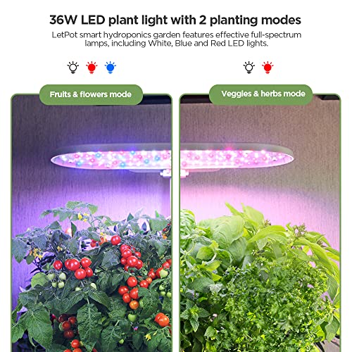 WiFi 15 pods LetPot Smart Garden Hydroponic Growing System,with 6L Water Tank,Bluetooth and WiFi Remote Controlled,15 pods for More Plants，Automatic Timer for Home and Garden（App Control） | The Storepaperoomates Retail Market - Fast Affordable Shopping