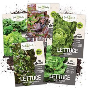 Seed Needs, Butterhead Lettuce Lovers Seed Packet Collection (5 Varieties of Heirloom Lettuce Seeds for Planting) Non-GMO & Untreated – Great for Hydroponics