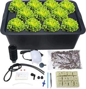 HighFree Hydroponics Growing System for Plants Herb Garden Starter Set DIY Self Watering Indoor Hydroponics Tools with Large Bubble Stone Rockwool Bucket Air Pump (11 Sites)
