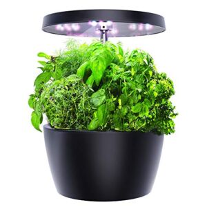 Ecoogrower Smart Garden, Hydroponics Growing System with LED Grow Light, Indoor Herb Garden Starter Kit for Beginners, Black, 4 Pots