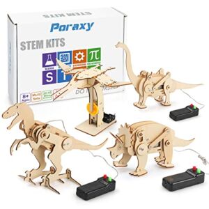 4 Pack Dinosaur Toys for Kids 8-12, STEM Kit, Boys Toys Age 8-10 Years Old, 3D Wooden Puzzle Model Robot Kit, DIY Educational Science Building STEM Projects, Gift for Boys and Girls Ages 8 9 10 11 12