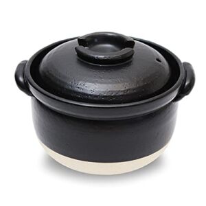 DONABE Clay Rice Cooker Pot Japanese Style made in Japan for 2 to 3 cups with Double Lids, Microwave Safe