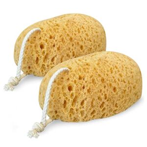 MainBasics Bath Sponges for Shower – Foam Loofah Sponge – Large Soft Texture Exfoliating Body Sponge, 2 Pack