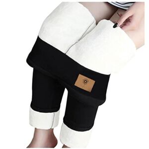 Fleece Lined Leggings Seamless Leggings for Women High Waist Leggings for Women Tummy Control Winter Warm Thermal Pants C-Black