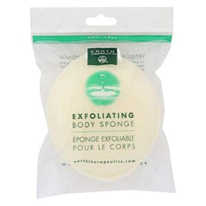 Earth Therapeutics Exfoliating Body Sponge