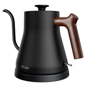 Biugh Gooseneck Kettle 2.0, Electric Pour Over Kettle for Coffee and Tea, Stainless Steel Inner, Matte, 34oz