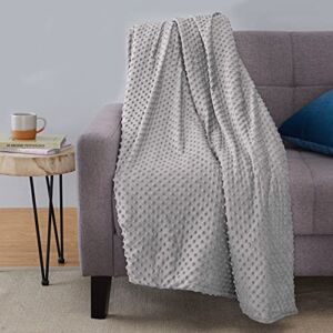 Amazon Basics Weighted Blanket with Minky Duvet Cover – 12 Pound, 48 x 72-Inch, Dark Grey/Grey