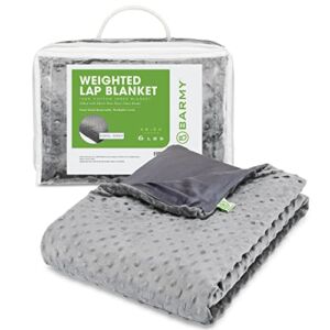 BARMY Weighted Lap Blanket (48″x24″, 6lbs) Weighted Lap Pad with Removable Cover for Adults, Teens and Kids, Cotton Inner Blanket, Weighted Throw Blanket – Cool Gray