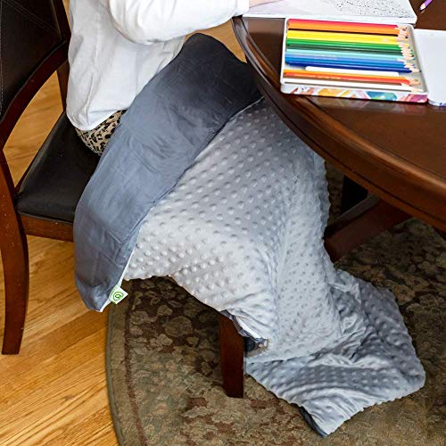 BARMY Weighted Lap Blanket (48″x24″, 6lbs) Weighted Lap Pad with Removable Cover for Adults, Teens and Kids, Cotton Inner Blanket, Weighted Throw Blanket – Cool Gray | The Storepaperoomates Retail Market - Fast Affordable Shopping