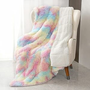 Faux Fur Weighted Blanket 15 Pounds,Kivik Shaggy Furry Weighted Blanket for Adult,Fuzzy Plush Sherpa Heavy Throw Blanket for Sofa Couch Warm Winter Gifts,Dual Side Rainbow 48×72 Inches