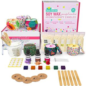 Purple Ladybug DIY Candle Making Kits with Aromatherapy Scents – Fun Arts and Crafts for Adults Women, Great Gifts for Mom and Teens – Make Your Own Homemade Scented Candles for Beginners and Girls