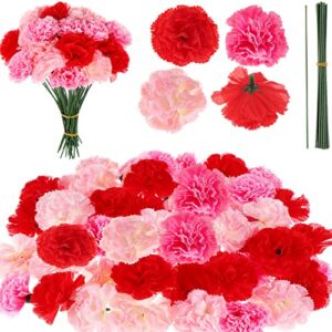 TBoxBo 120 Pack Artificial Carnations with Stems Leaves Eternal Blossom Silk Carnation Flower Artificial Pom Pom Mini Hydrangea Birthday Party for Home, Wedding(Scarlet, Pink, Light Pink) 5g6e8t1sm19