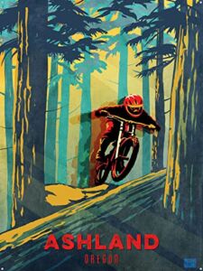 Ashland Oregon Forest Racer Downhill Mountain Biker Metal Art Print from Illustration by Illustrator Sassan Filsoof 17″ x 23″