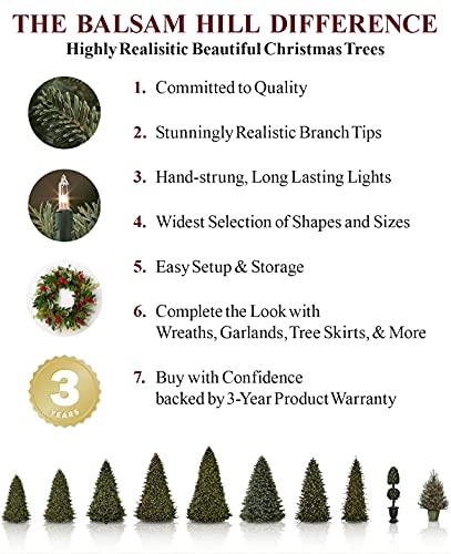 6.5′ Balsam Hill Blue Spruce Artificial Christmas Tree Unlit | The Storepaperoomates Retail Market - Fast Affordable Shopping