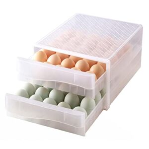 Egg Holder for Refrigerator, THIPOTEN 60 Grid Eggs Storage Container for Refrigerator, Perfect Household Egg Organizer for a Hobby Farm
