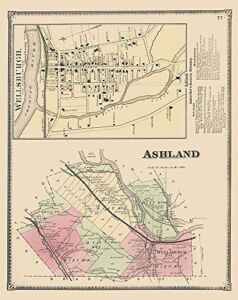 Posterazzi PDXNYAS0001SMALL Ashland New York 1869 Beers Poster Print, 18 x 24, Multicolor