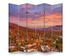 VDSRYGMLB Wood Screen Room Divider Aerial View of Ashland Folding Screen Canvas Privacy Partition Panels Dual-Sided Wall Divider Indoor Display Shelves 6 Panels