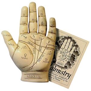 Fantasy Gifts Palmistry Hand Kit: Halloween Holiday Prop Includes 15-Page Booklet
