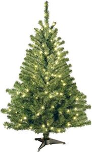 National Tree Company Pre-Lit Artificial Mini Christmas Tree, Green, Kincaid Spruce, White Lights, Includes Stand, 4 Feet