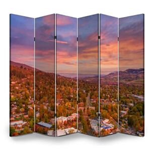 Wood Screen Room Divider Aerial View Ashland Privacy Folding Screen Double Sided Canvas Foldable Panel Partition Wall Divider Display 6 Panel