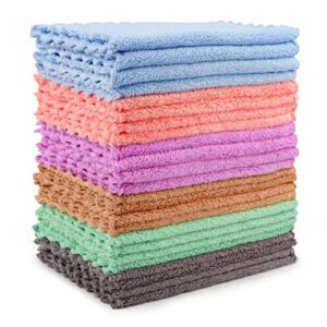 HOMEXCEL Coral Velvet Kitchen Dishcloths 24 Pack,Soft Reusable Dish Towels, Coral Fleece Dish Cloths, Highly Absorbent Reusable Cleaning Cloths 7X9(6 Colors Assoreted)