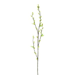 12 Pack: Green Willow Stem by Ashland®