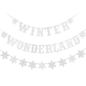 Snowflake Winter Wonderland Banner & Snowflake Banner- Winter Wonderland Decor, Winter Baby Shower Decorations, Christmas Party Decoraitons, Snowflake Party Decorations（Silver Glitter）