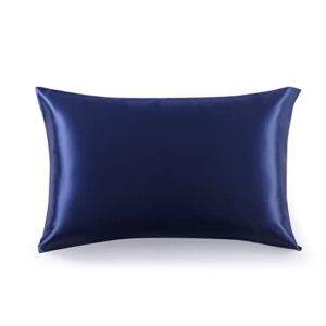 Comfy Party 100% Mulberry Silk Pillowcase, 22 Momme Both Sides, Natural Hypoallergenic Silk Pillow Covers for Skin moisturizing (Navy Blue, Queen)
