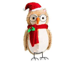 Winter Wonder Lane 20″ Light-Up Owl Christmas Yard Art Decoration