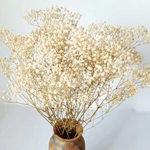 Dried-Babys-Breath-Flowers-Bouquet-17 inch 2000+ Ivory White Flowers, Natural Gypsophila Branches for Wedding, DIY Home Party Decor, Table Vase Decor for Parents, Friend, Children (3oz)