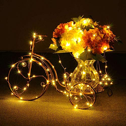 Koxly 4 Pack 20ft 60 Led Fairy Lights with Remote Timer Waterproof Christmas Decor Battery Operated Twinkle Firefly Lights for Bedroom, Garden, Easter, Party, Christmas Indoor and Outdoor Decorations | The Storepaperoomates Retail Market - Fast Affordable Shopping