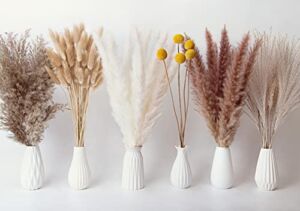 CandyHome 130 Pcs Dried Pampas Grass Boho Home Decor Flowers Natural Pampas Grass Bouquet White & Brown Pompous Grass, Reed, Bunny